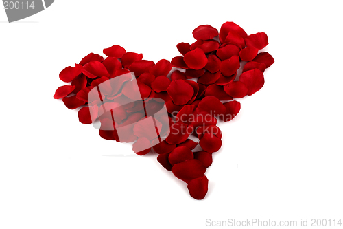 Image of Rose petals Heart