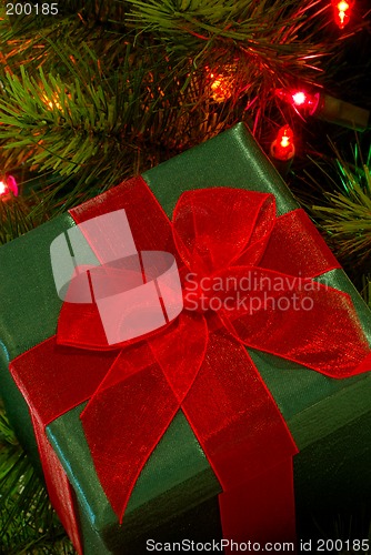 Image of Holiday Gift