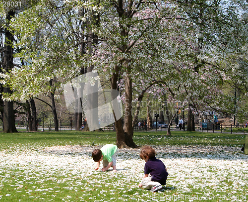 Image of playing in the park