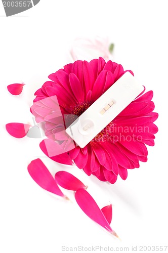 Image of Positive pregnancy test and gerbera