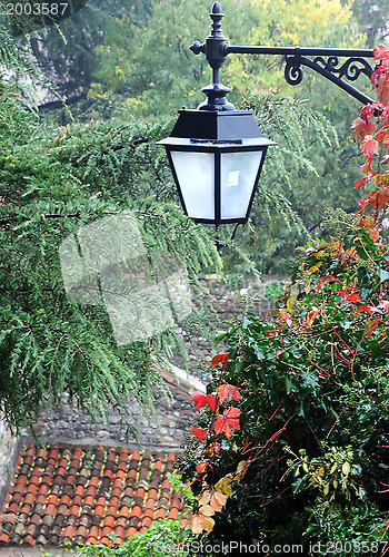 Image of Streetlamp in the Park