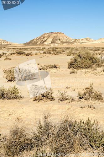 Image of Red Desert