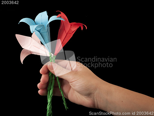 Image of Hand with bouquet pink, red and blue flowers