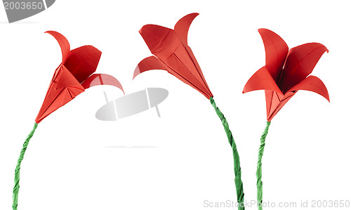 Image of Origami red flower white isolated.