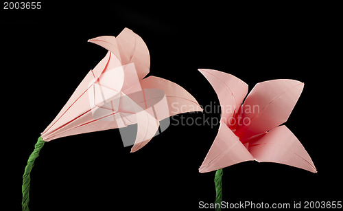 Image of Pink Flower origami black isolated