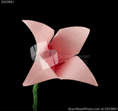 Image of Pink Flower origami black isolated