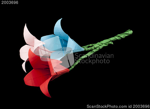 Image of Pink and red flowers origami black isolated