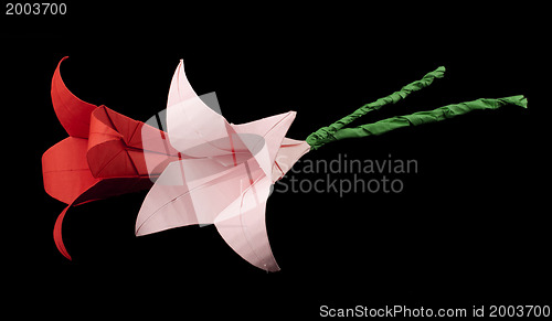 Image of Pink and red flowers origami black isolated