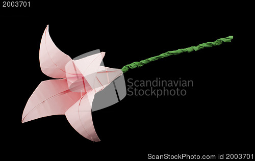 Image of Pink Flower origami black isolated