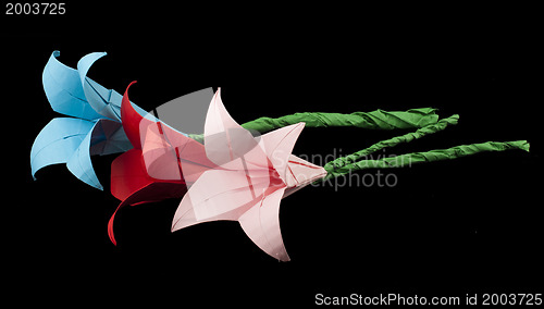 Image of Pink and red flowers origami black isolated