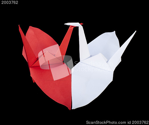Image of Two birds in love with heart shape
