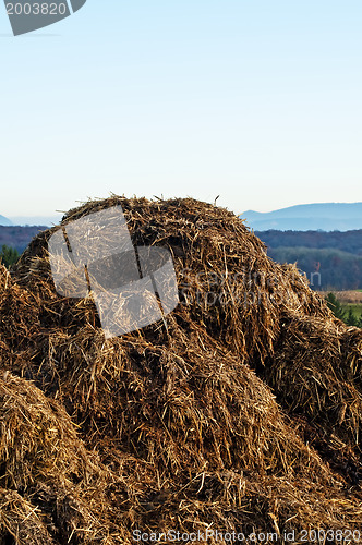 Image of dung hill