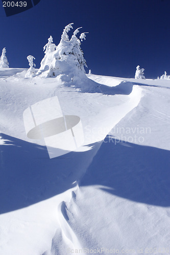 Image of snow covered mountain and trees