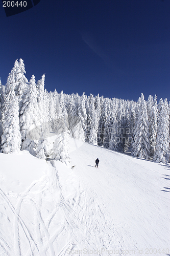 Image of ski slope on mountain side