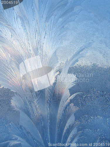 Image of Ice natural pattern on winter window