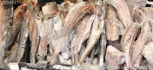 Image of fish market