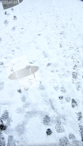 Image of winter pavement