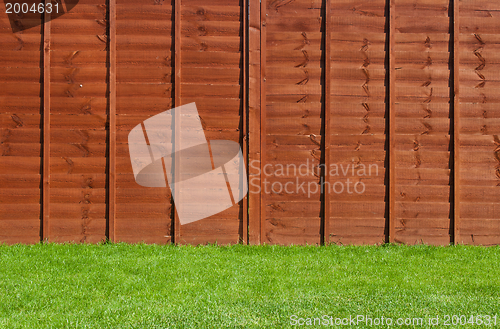 Image of Backyard garden