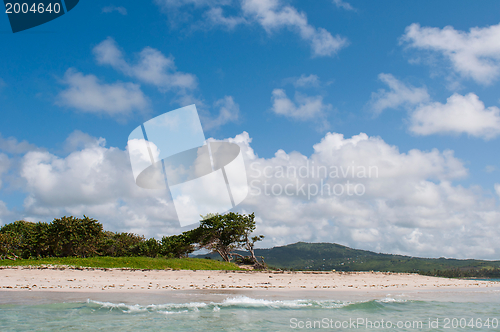 Image of Deserted beach at Vieux Fort