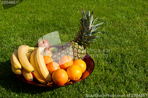 Image of Fruit bowl