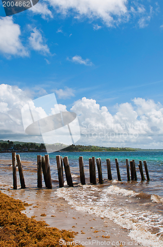 Image of Pier stilts on beach
