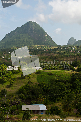 Image of The Pitons in Saint Lucia