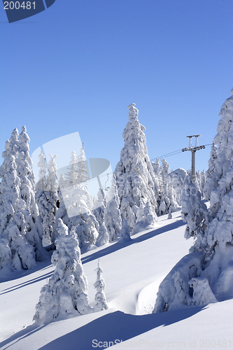 Image of snow covered mountain and trees