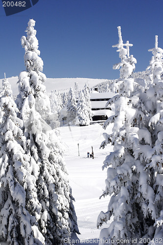 Image of snow covered ski chalet in pine forest