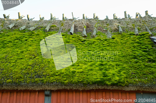 Image of Mossy roof