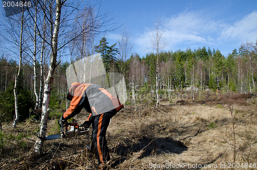 Image of Cutting firewood