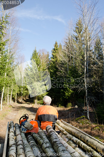 Image of Lumberjacks break