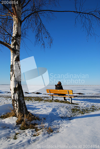 Image of Alone in winter landscape