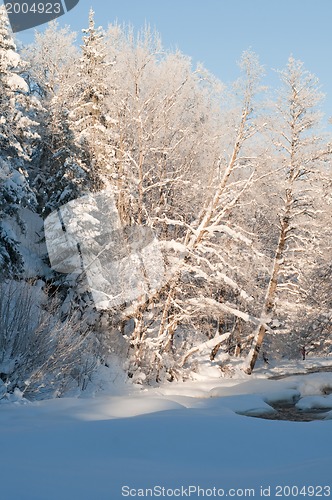 Image of Landscape with froen trees