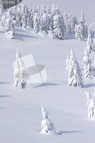 Image of snow covered mountain and trees