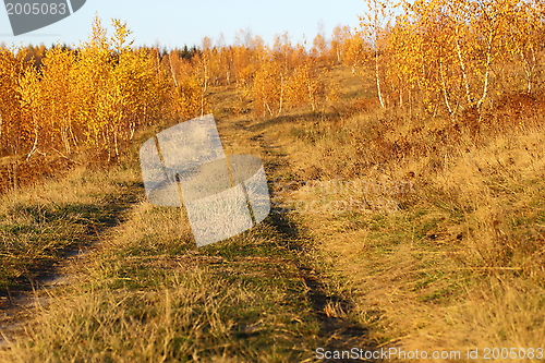 Image of road in the field