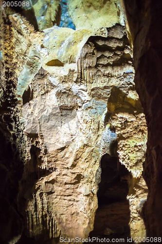 Image of Inside the Cradle of Humankind