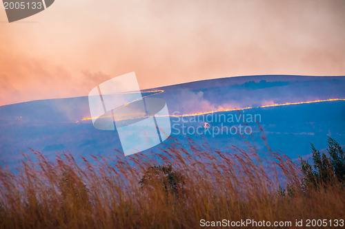Image of Brush fire