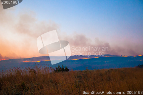 Image of Brush fire