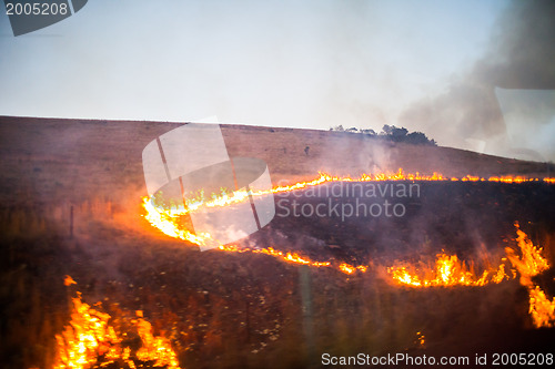 Image of Brush fire