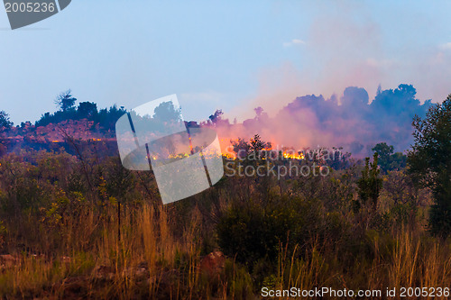 Image of Brush fire