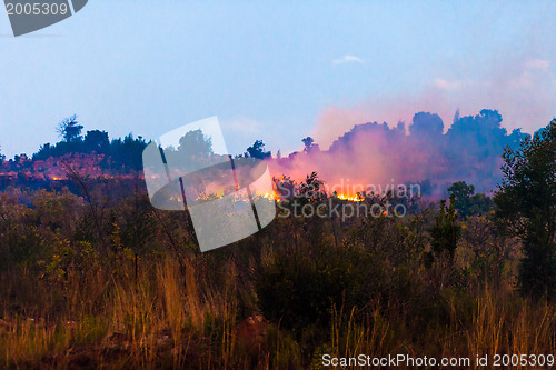 Image of Brush fire