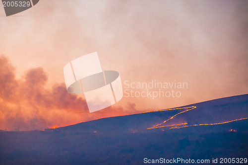 Image of Brush fire