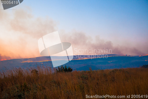 Image of Brush fire