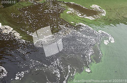 Image of Water pollution