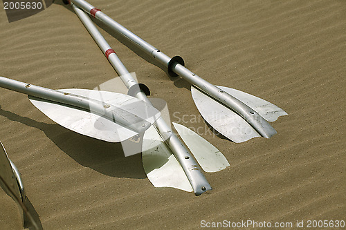 Image of Kayak paddles laying in the sand