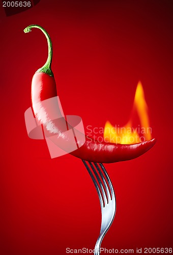 Image of burning red chili pepper on red background