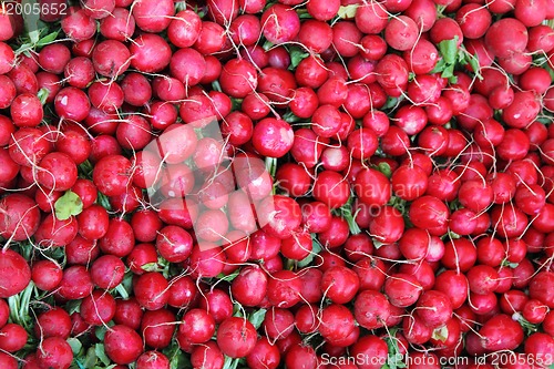 Image of radishes background