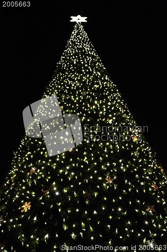Image of christmas tree