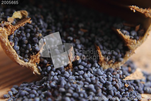 Image of blue poppy seeds 