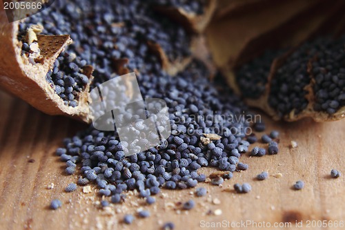 Image of blue poppy seeds 
